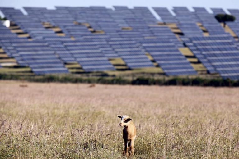 Modernização das redes e redesenho do mercado elétrico são prioridades do setor