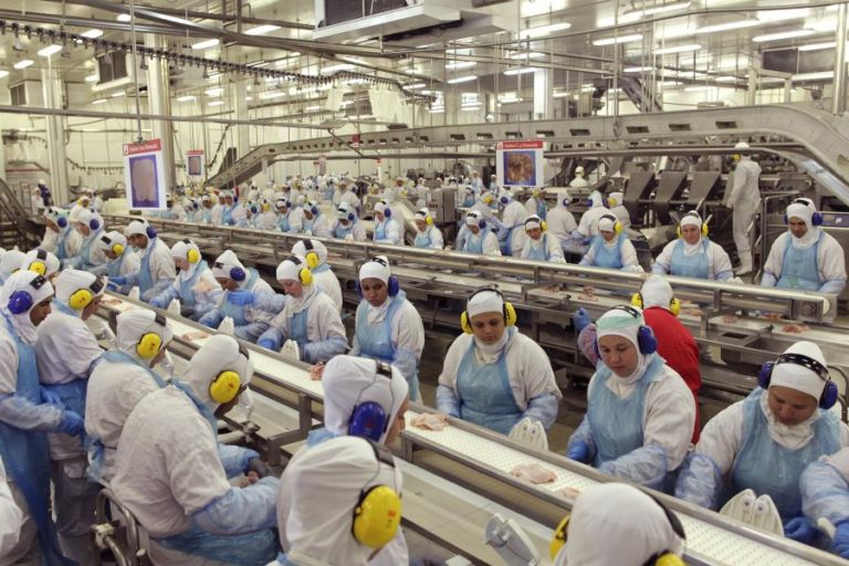 Acordo UE-Mercosul deve dar lucros de mais de mil milhões de euros a empresa brasileira – Greenpeace