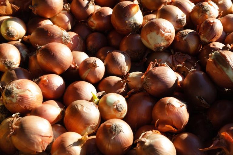 Senegal representa 48% das importações da Guiné-Bissau no quadro da UEMOA