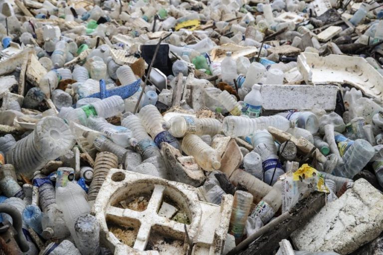 Bebidas consumidas na Ásia dão origem a lixo plástico nas praias de Cabo Verde
