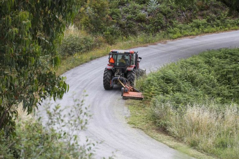 Governo apela aos proprietários para “logo que possível” limparem terrenos
