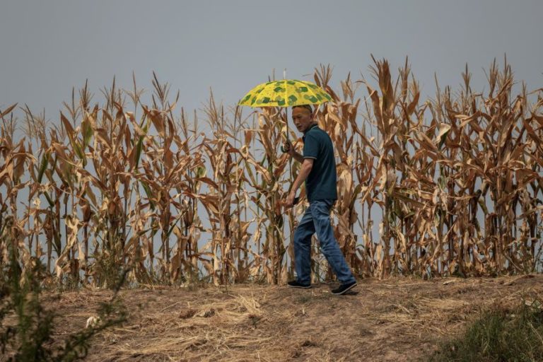 Várias regiões chinesas enfrentam seca após prolongada falta de precipitação