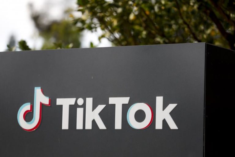 Tiktok remove mais de 275 conteúdos e elimina 45.000 contas falsas para as legislativas