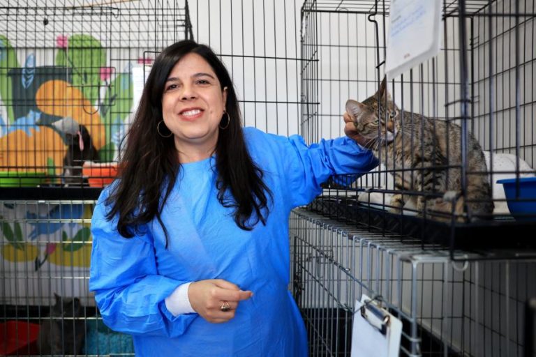 PAN insiste nas “segundas sem carne” no parlamento e estratégia para leguminosas