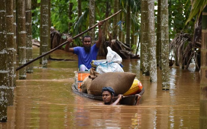 45072309.jpg