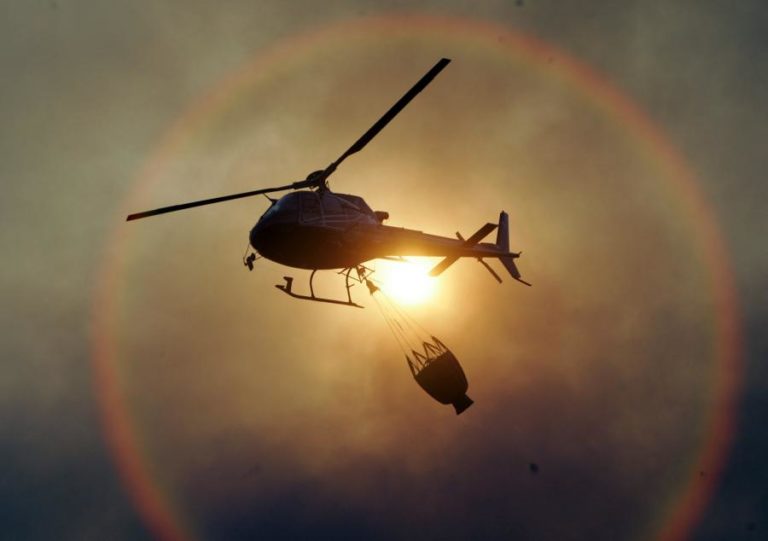 Dez concelhos de Coimbra e Faro em perigo máximo de incêndio