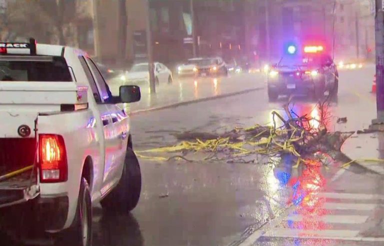 Tempestade em Ontário e Quebec deixa milhares sem luz e vários feridos