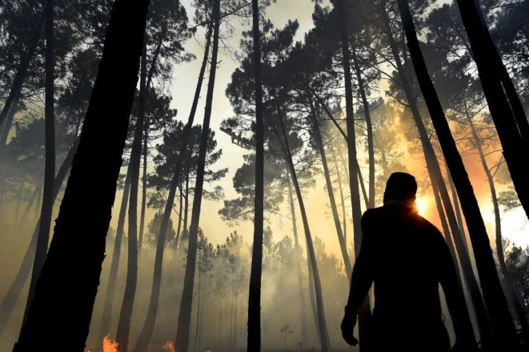 Cerca de 80 concelhos de 10 distritos do continente em risco máximo de incêndio