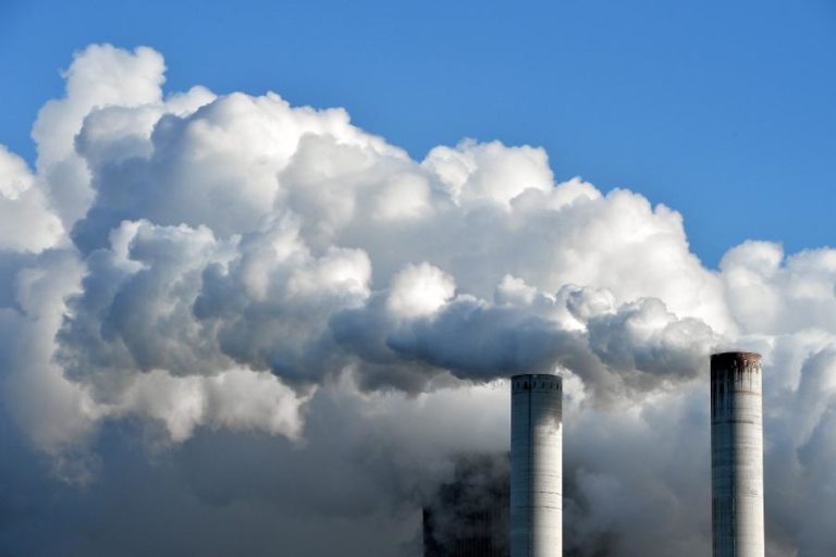 WWF e outras ONG defendem neutralidade climática para UE já em 2040
