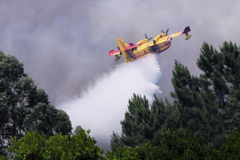 : Mais de 50 concelhos de oito distritos em perigo máximo de incêndio