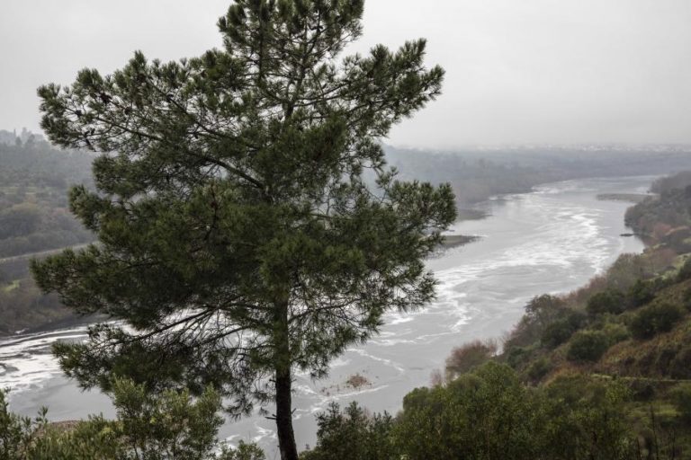 Mais de 500 mortes atribuídas a fontes de água contaminada e falta de higiene em 2023