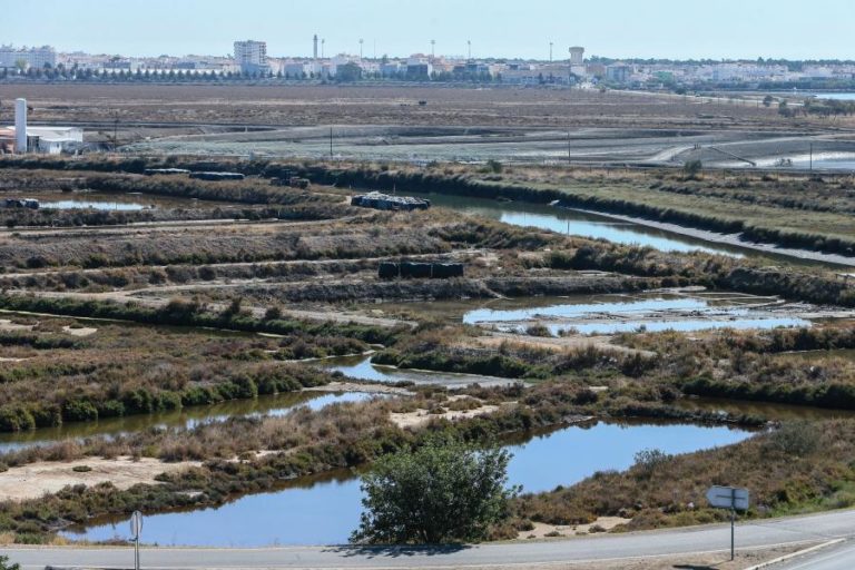 Portugal tem hoje nove reservas naturais após a criação da primeira há 50 anos