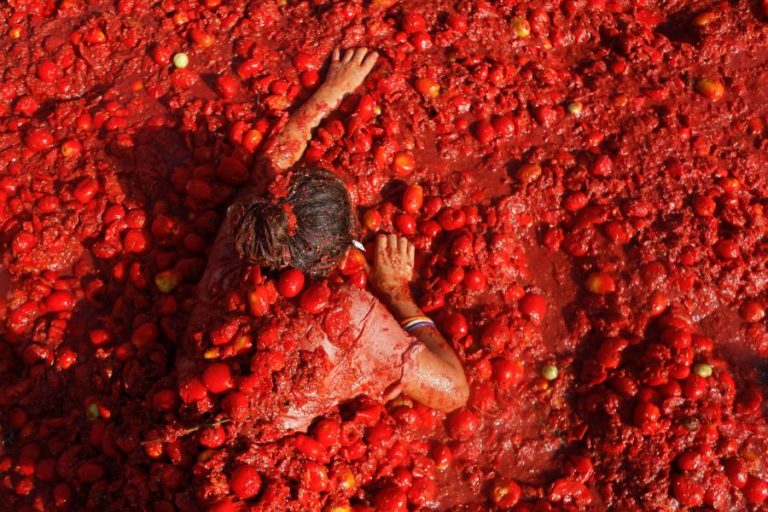 Portugal tem mais de 230 variedades de tomate como o Benfica ou o Celestial