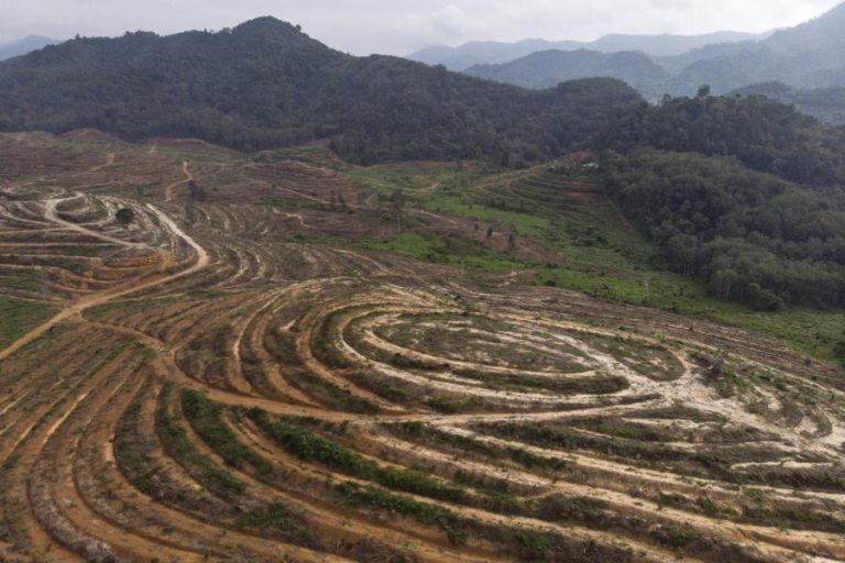 Humanidade esgota a 24 de julho recursos do planeta disponíveis para este ano