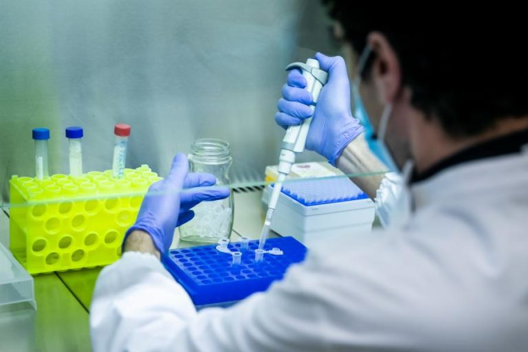 Quase metade da comida de rua vendida em Lisboa com má qualidade microbiológica