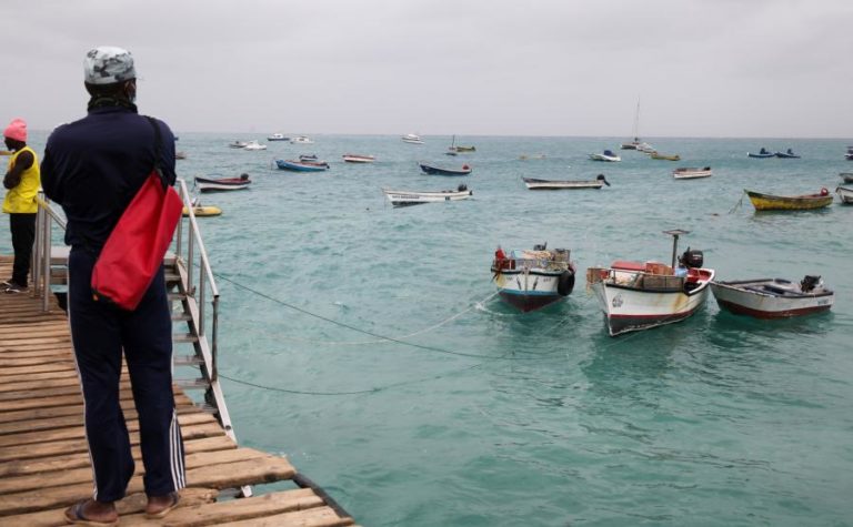 Nova espécie de enguia identificada em Cabo Verde