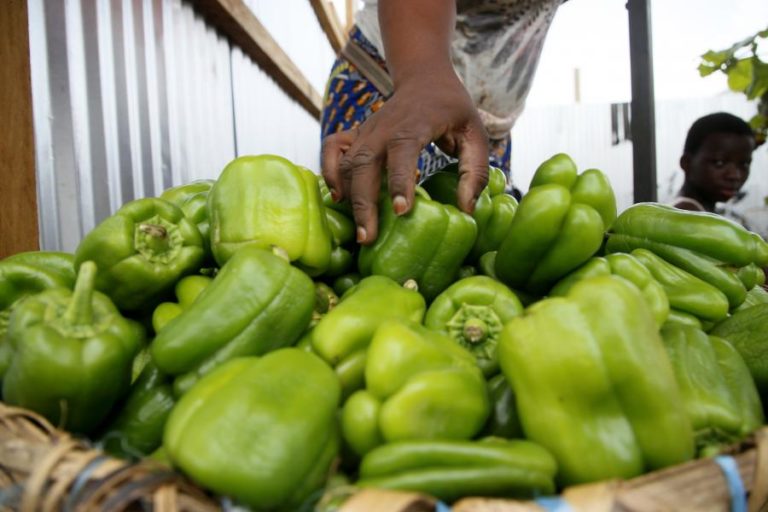 Rendimento ‘per capita’ em África cresce 1,6% e alarga fosso com resto do mundo