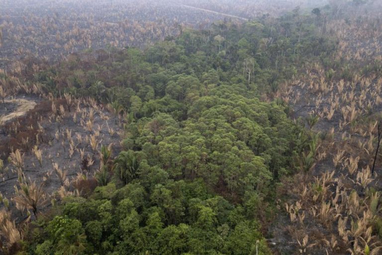 Polícia brasileira anuncia operação para combater incêndios florestais na Amazónia