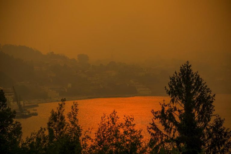 Cerca de 50 concelhos de oito distritos em perigo máximo de incêndio