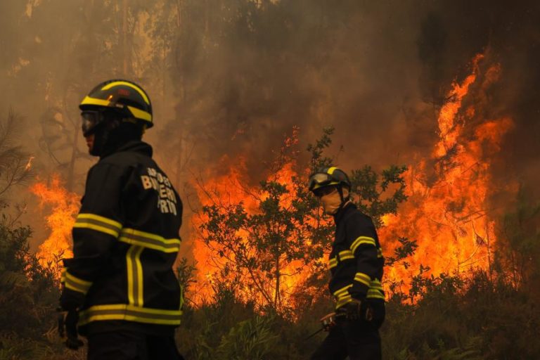 Mais de 30 concelhos de nove distritos em perigo máximo de incêndio