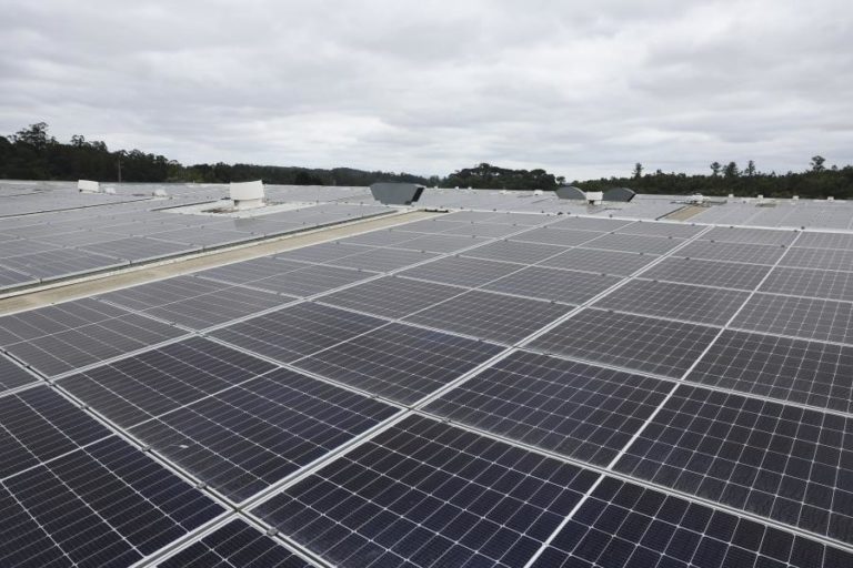 Fapricela inaugura central solar em cobertura equivalente a sete campos de futebol