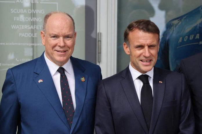 45117230.jpg