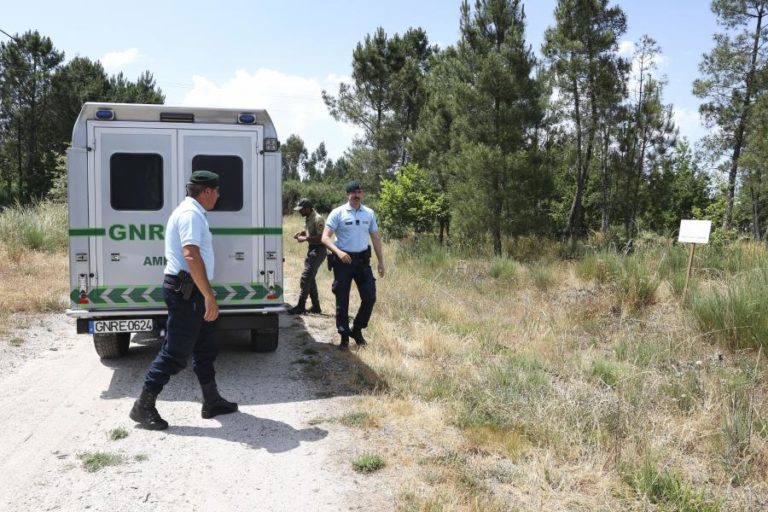 Falta de meios e de mão-de-obra dificulta limpeza na proteção da floresta