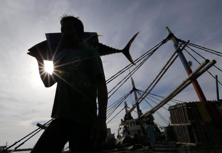 Portugal utiliza 80% da quota de atum-patudo e pesca pode ser encerrada