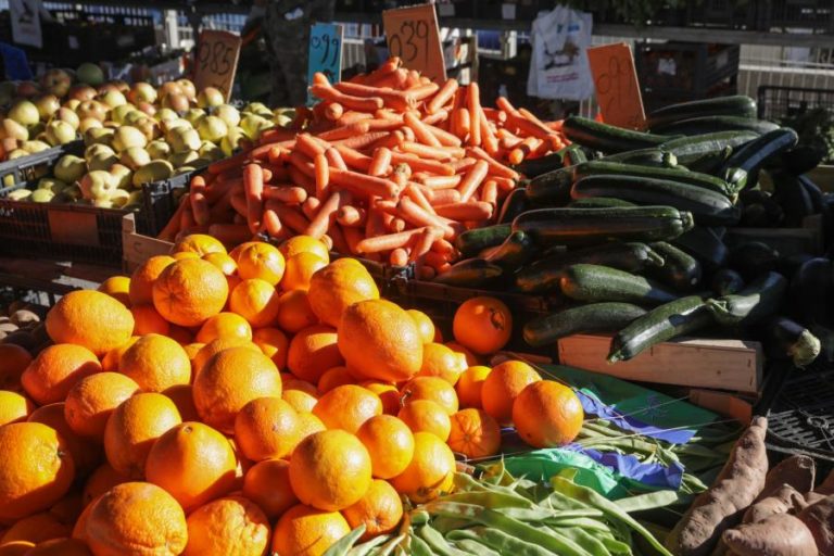 Bruxelas abre processo a Portugal por falhas em regras sobre frutas, legumes e sementes