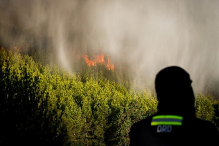 Face a risco muito elevado de incêndios Cascais declara Alerta Municipal e Sintra encerra alguns monumentos