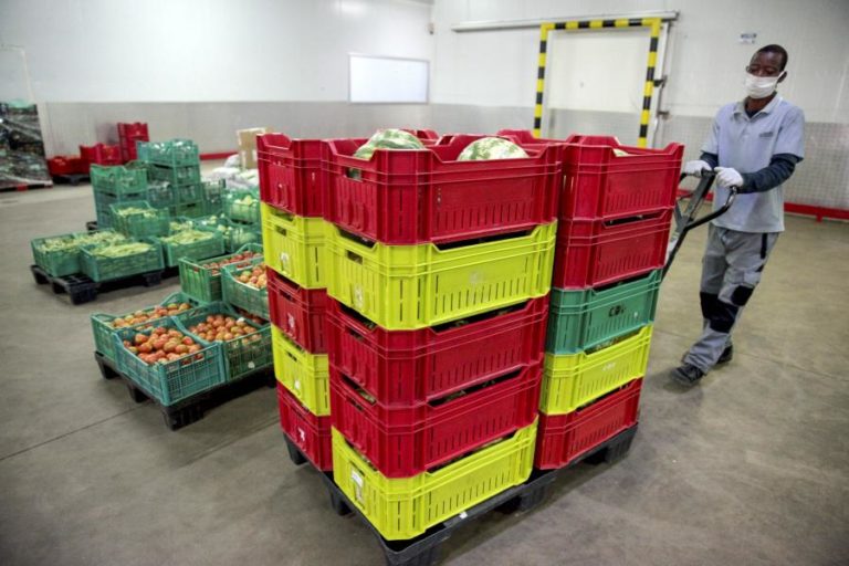 Governo angolano anuncia criação de mais de 109 mil empregos no 1.º semestre