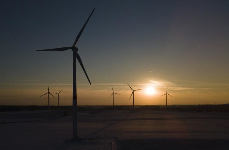 ONG pedem em Maputo ação parlamentar na transição energética sustentável na África Austral