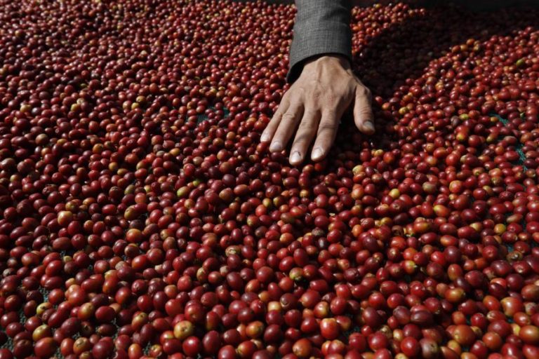 Café sobe depois de Washington ameaçar impor tarifa adicional a produtos brasileiros