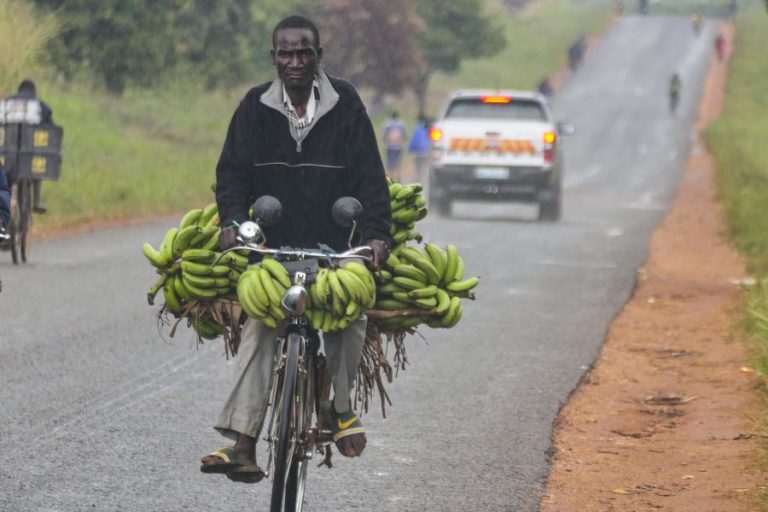 Moçambique com inflação de 4,4% em 2025 mas terá “aumento acentuado” em 2026