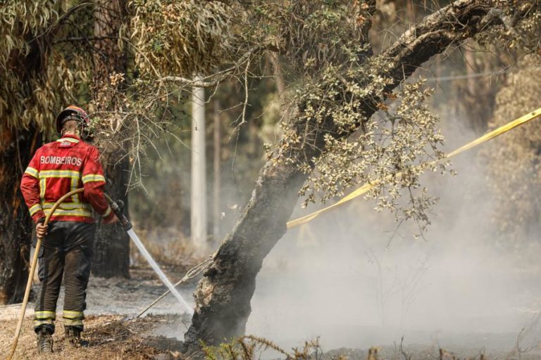 Três concelhos do distrito de Faro em perigo máximo de incêndio
