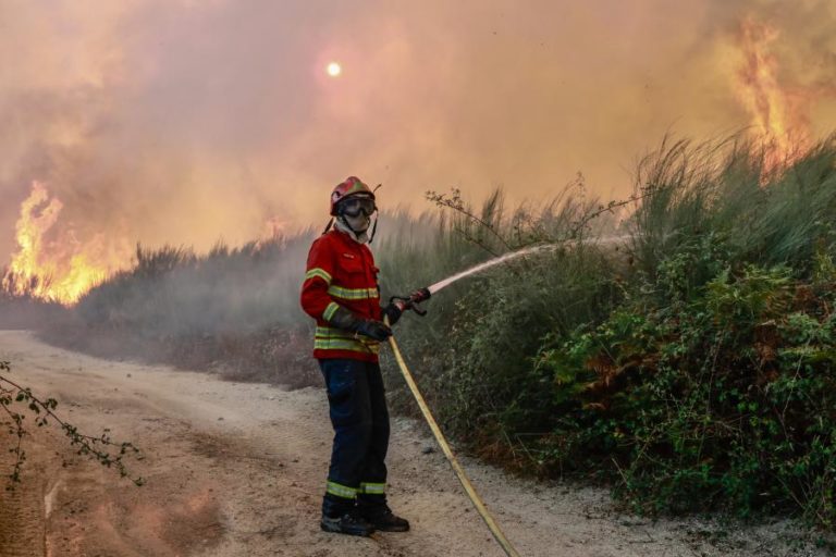 A2 cortada nos dois sentidos devido a incêndio no concelho de Aljustrel