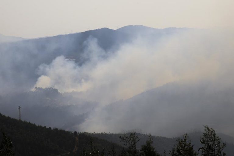 Mais de 40 concelhos de nove distritos em perigo máximo de incêndio