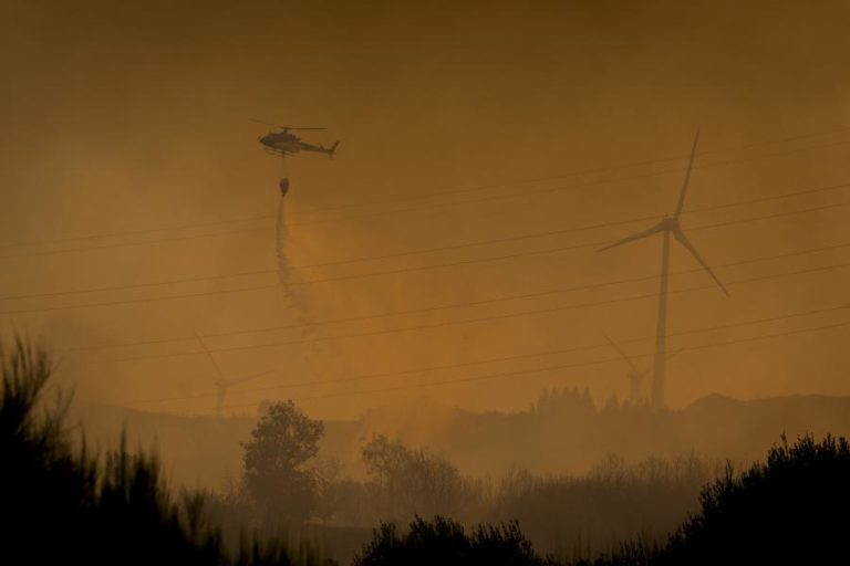 Mais de 40 concelhos de sete distritos em perigo máximo de incêndio