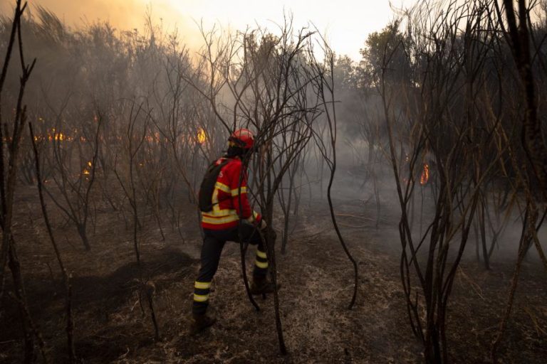Mais de 20 concelhos de quatro distritos em perigo máximo de incêndio