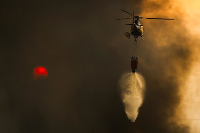 Mais de 80 concelhos de 10 distritos em perigo máximo de incêndio