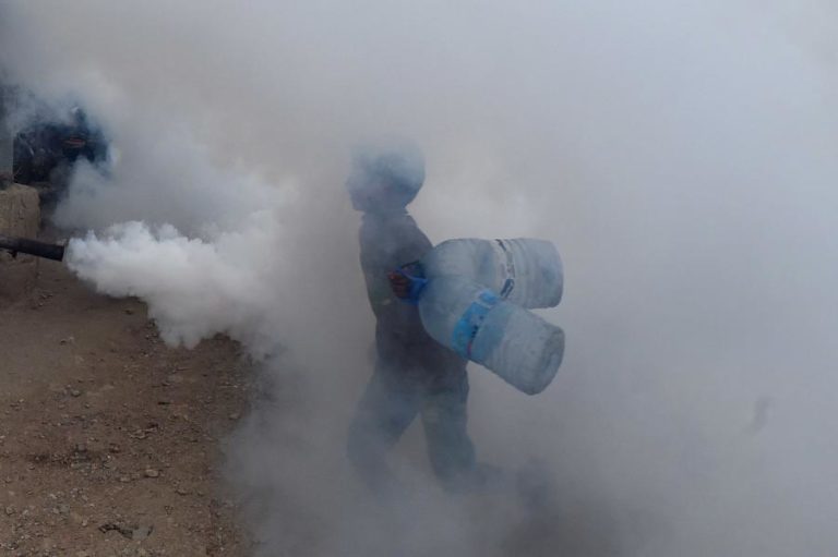 China regista surto de febre chikunyunga com 478 casos no sudeste do país
