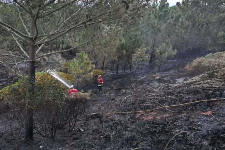 Cerca de 40 concelhos de seis distritos em perigo máximo de incêndio
