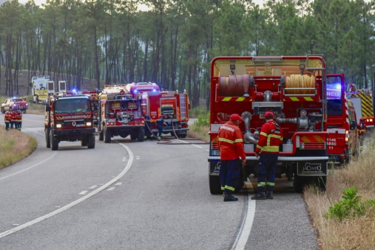 Fogo em mato em Idanha-a-Nova mobiliza oito meios aéreos e mais de 150 operacionais