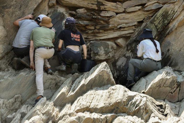 Arqueólogos intensificam investigação sobre presença humana no Vale do Côa