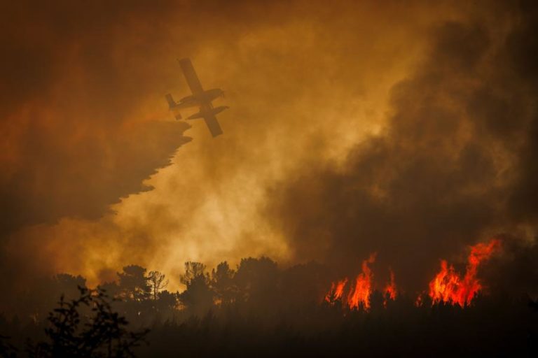 Mais de 60 concelhos de 10 distritos em perigo máximo de incêndio