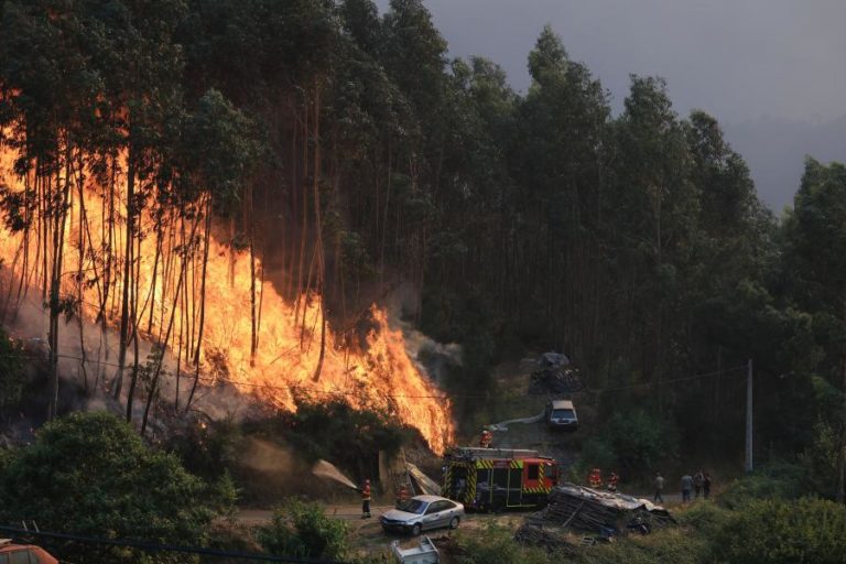 Incêndio que começou em Arouca sem frentes ativas em Castelo de Paiva