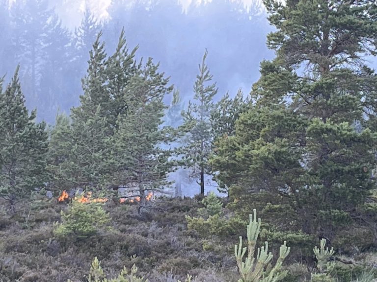 Centenas de incêndios florestais assolam o Canadá