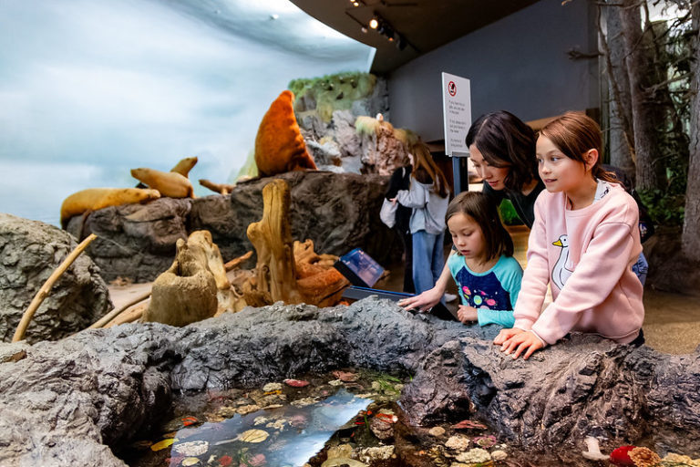 ‘Canada Strong Pass’ chega a mais museus e galerias