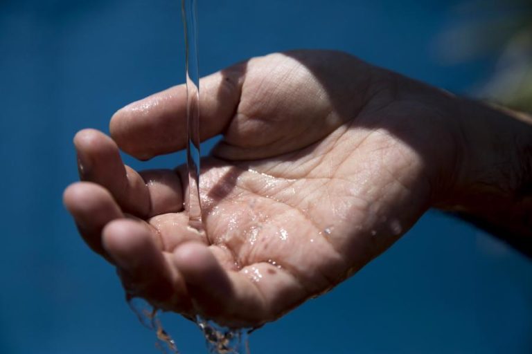 Distritos mais a norte hoje com aviso vermelho devido ao calor