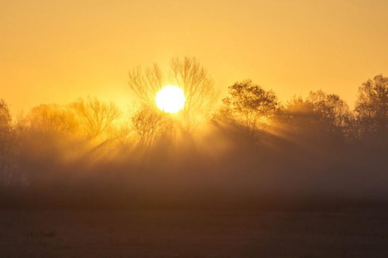 Autoridades de saúde alertam para riscos de onda de calor até dia 13